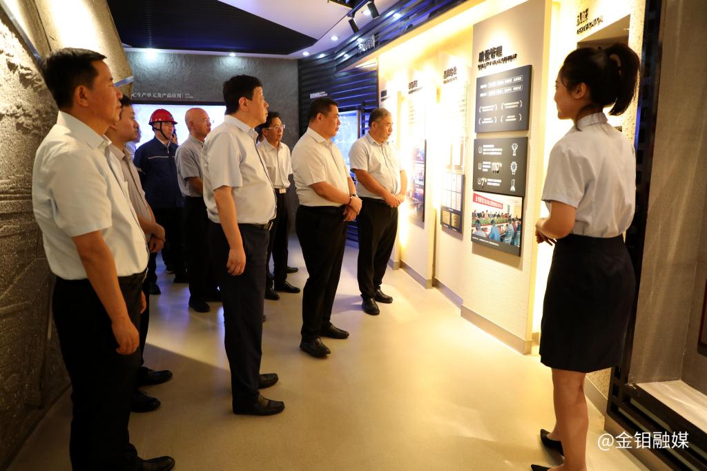 20240620-省決咨委來西安工業(yè)園區(qū)調研 (2).jpg